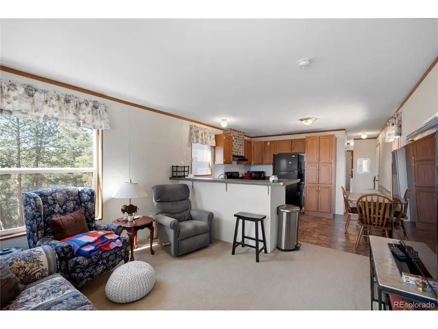 509 John Dr, Divide, CO 80814 - #3