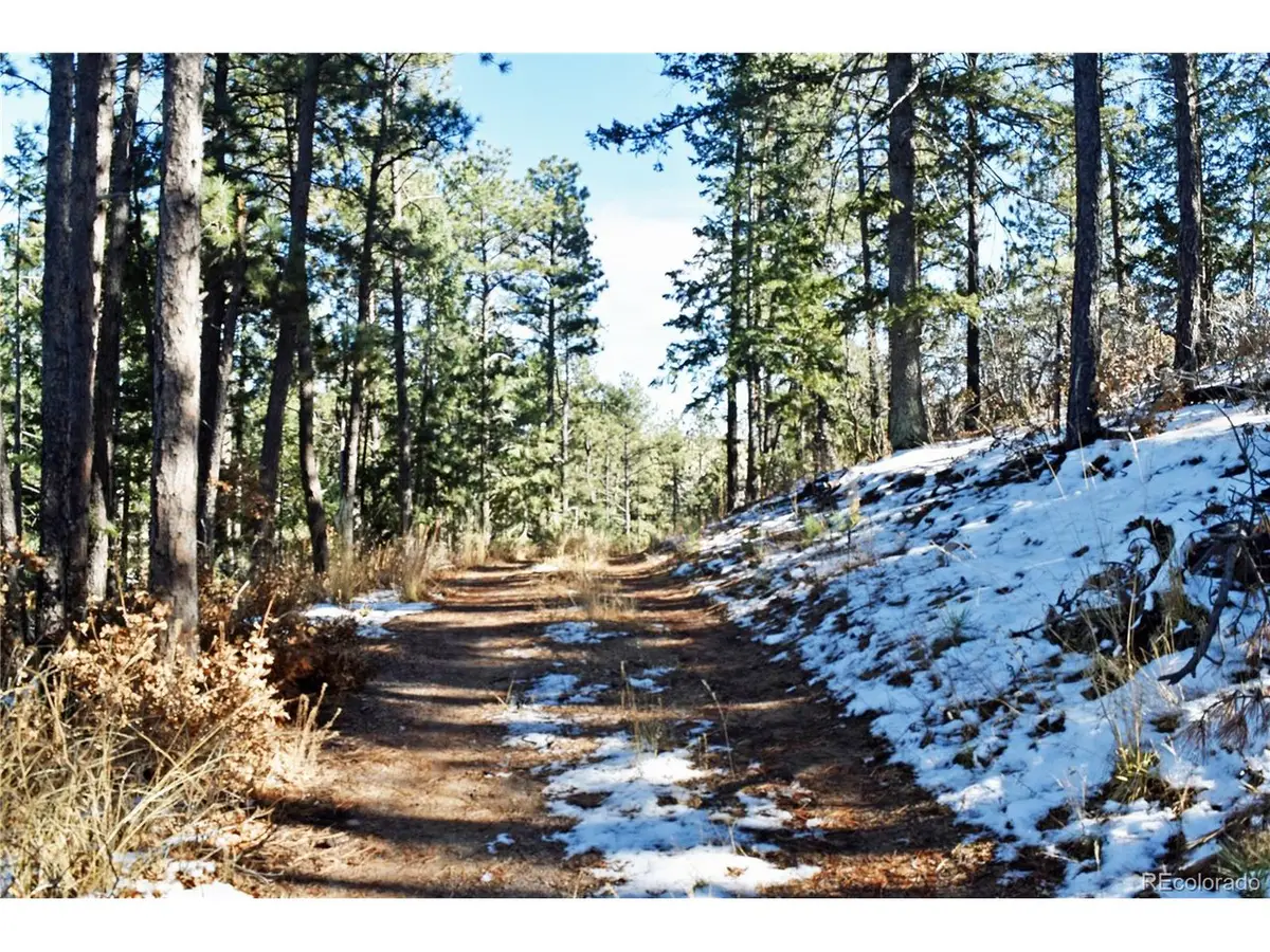 12778 Greenland Acres Rd, Larkspur, CO 80118 - #1