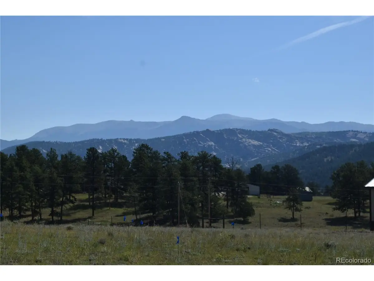 431 High Chateau Rd, Florissant, CO 80816 - #1