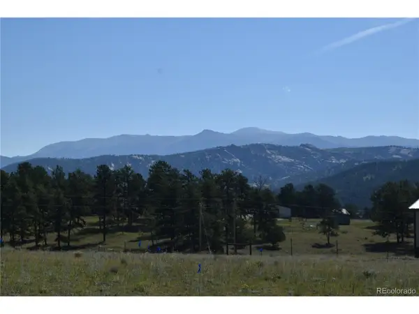 431 High Chateau Rd, Florissant, CO 80816