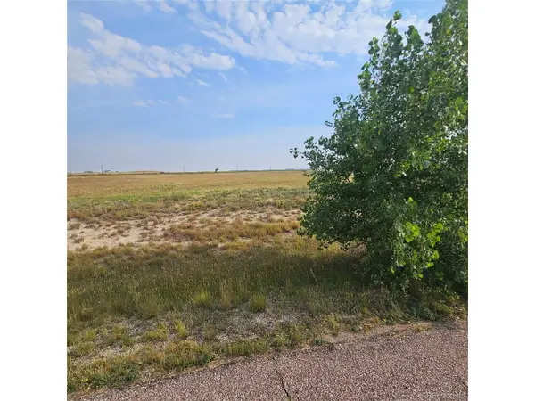 16094 E Mccara Ct, Peyton, CO 80831