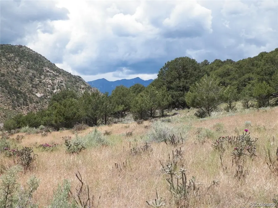 Tbd, Cotopaxi, CO 81223 - #3