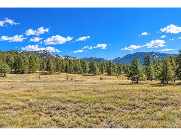 308 Apache Trl, Florissant, CO 80816