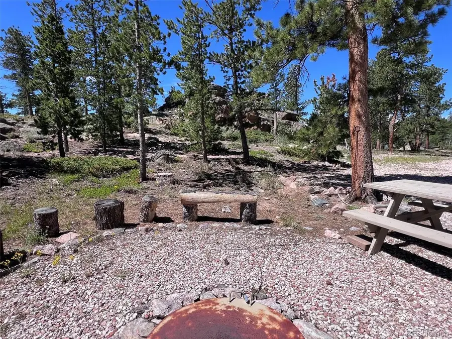 11 Inca Ct, Red Feather Lakes, CO 80545 - #3