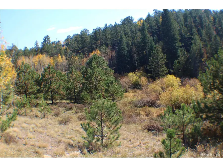 2020 Shelton Dr, Bailey, CO 80421 - #2