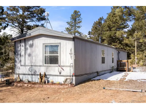 171 Star View Trl, Divide, CO 80814