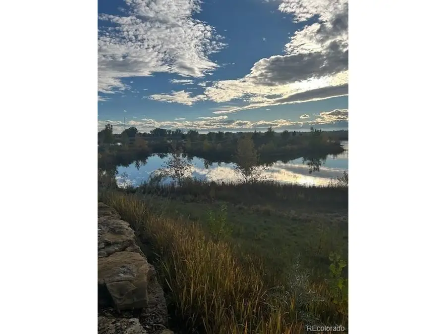 13323 Ladybug Ln, Firestone, CO 80504 - #3