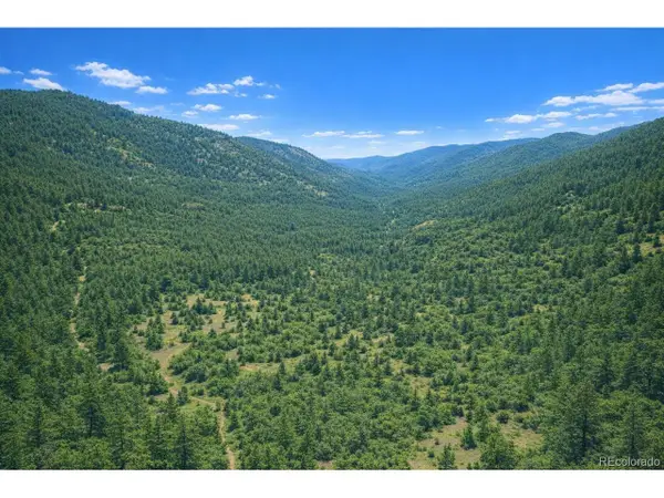 0 Arrowhead Rd, Florissant, CO 80816