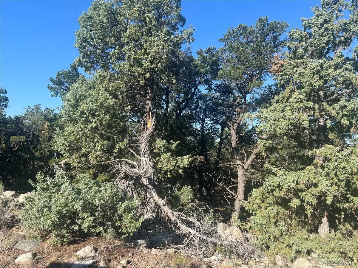 3587 Alfresco Way, Crestone, CO 81131 - #1