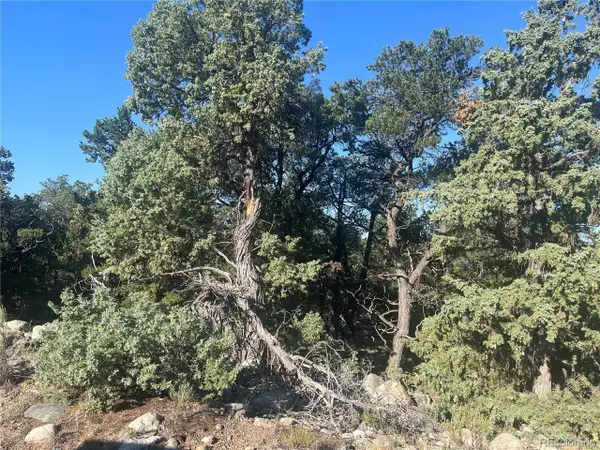 3587 Alfresco Way, Crestone, CO 81131