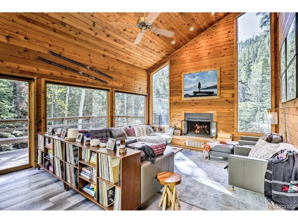 48 Moss Ln, Dumont, CO 80436 - #1