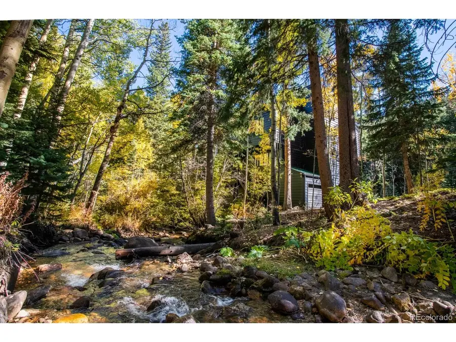 48 Moss Ln, Dumont, CO 80436 - #2