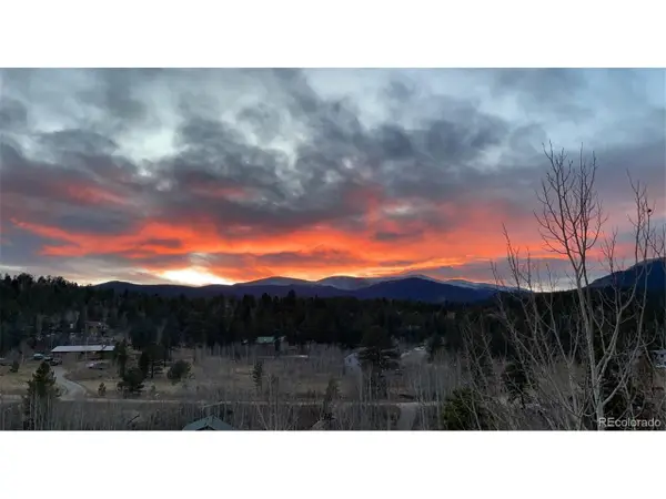 203 Gold Flake Ter, Bailey, CO 80421
