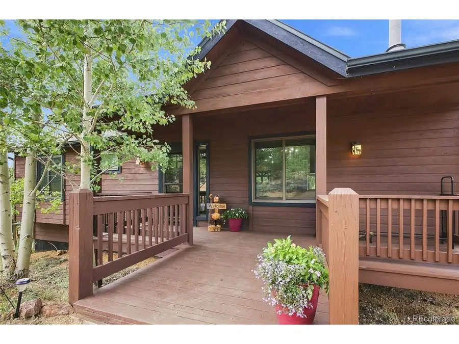 203 Gold Flake Ter, Bailey, CO 80421 - #2