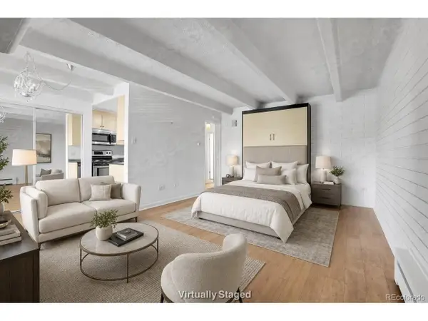 250 N Pearl St #209, Denver, CO 80203