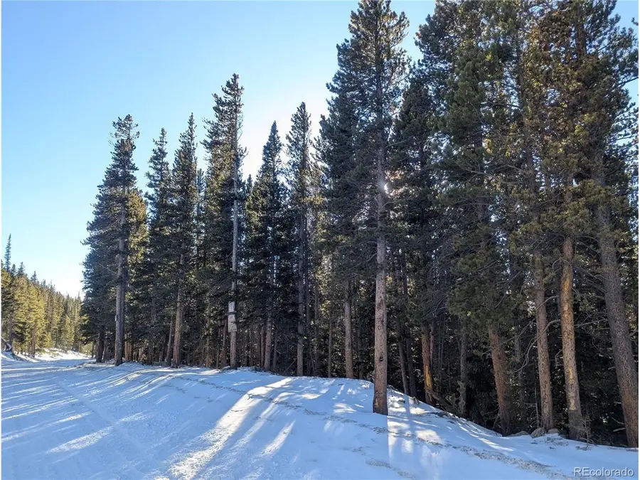 Crest Drive, Idaho Springs, CO 80452 - Image #2