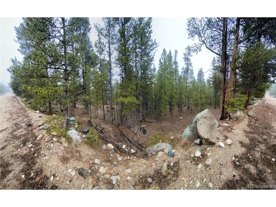 143 Juniper Dr, Twin Lakes, CO 81251 - #2