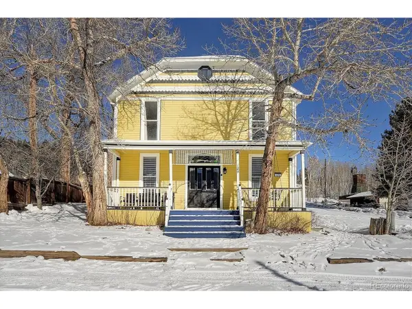 129 Lang St, Twin Lakes, CO 81251