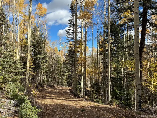 5366 Sledgers Rd, San Luis, CO 81152