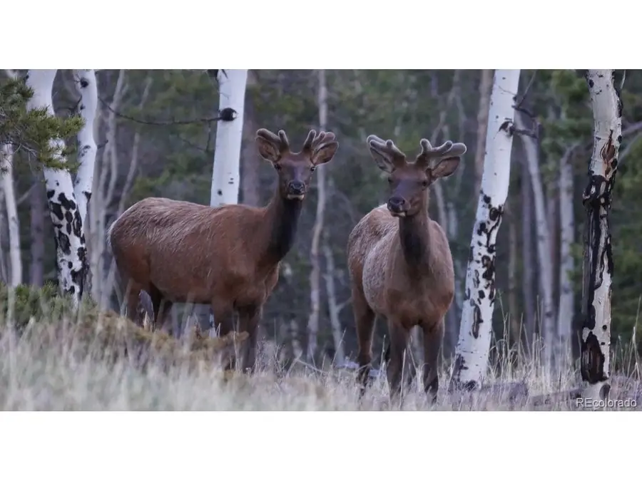 Address Withheld By Seller, Black Hawk, CO 80422 - #2