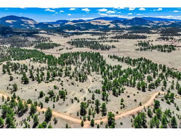 422 Buck Dr, Guffey, CO 80820