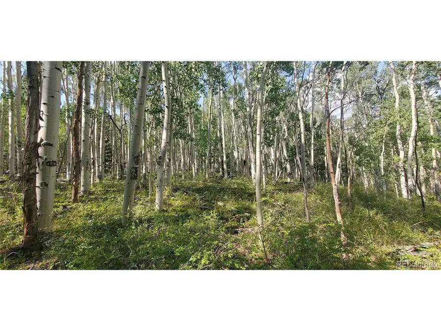 Address Withheld By Seller, Fort Garland, CO 81133 - #2