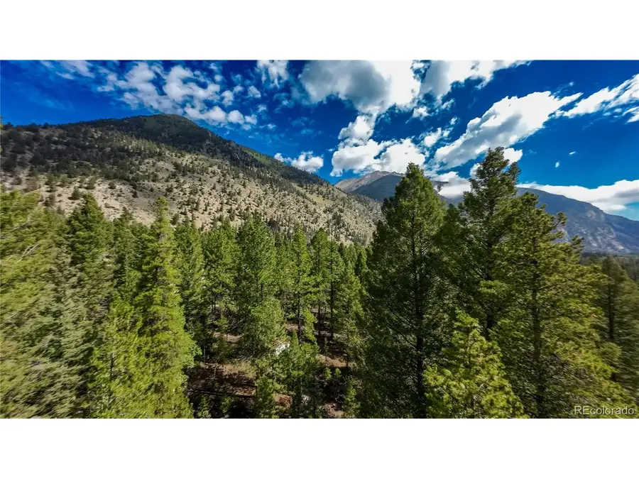 22297 County Road 292d, Nathrop, CO 81236 - #3