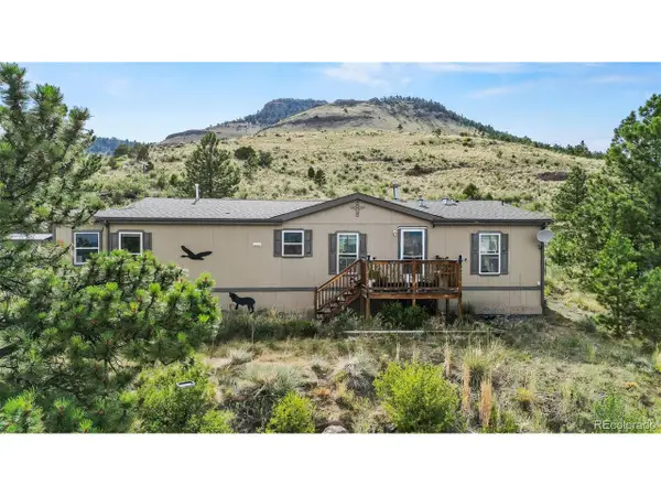 1711 Witcher Mountain Rd, Guffey, CO 80820