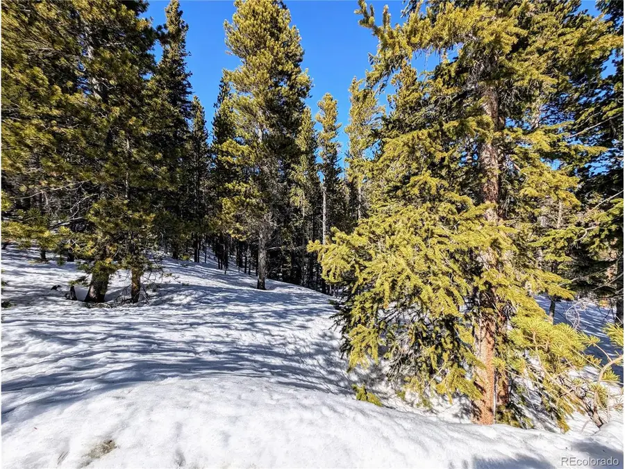 234 Alice Rd, Saint Marys, CO 80453 - #3