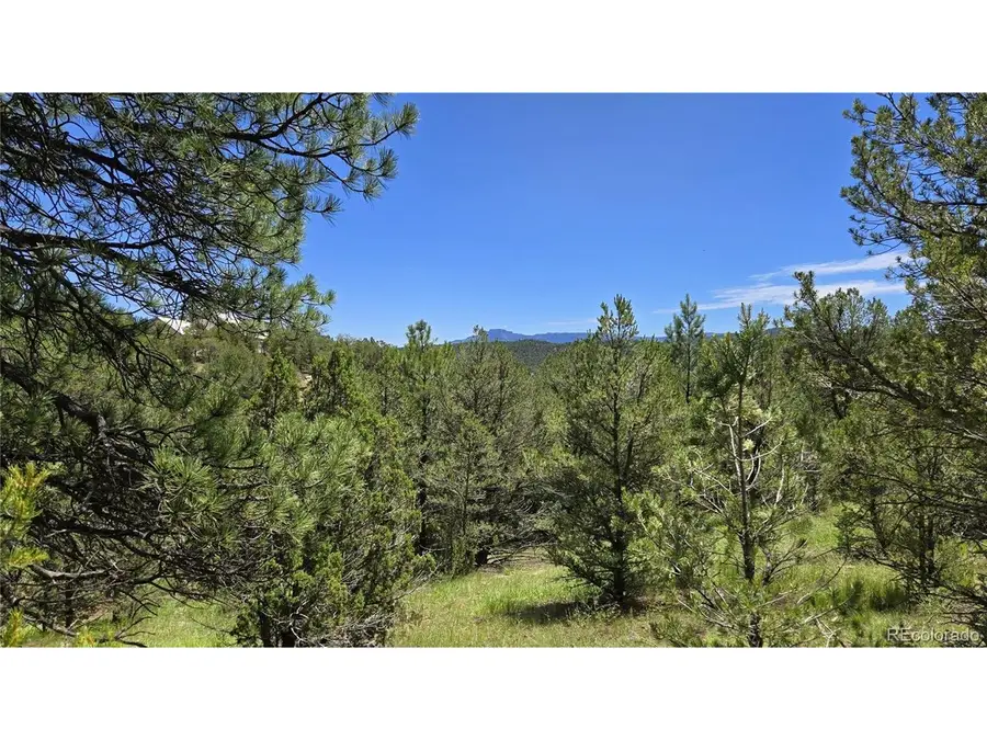 20 Colorado Mountain Lake Estates, Trinidad, CO 81082 - #2