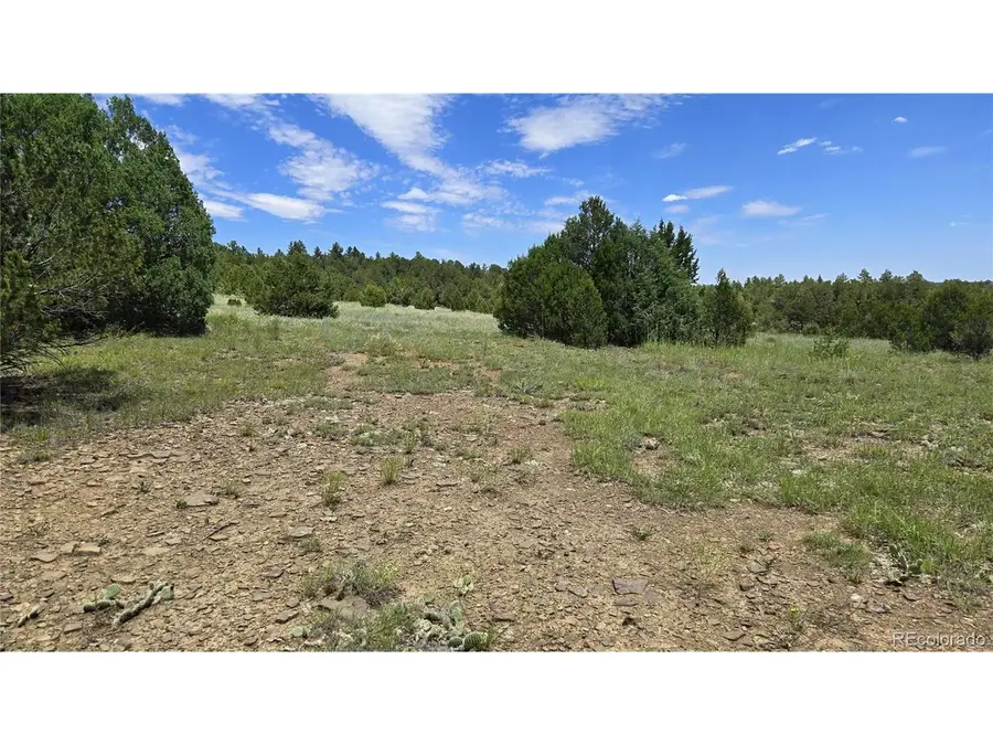 20 Colorado Mountain Lake Estates, Trinidad, CO 81082 - #3