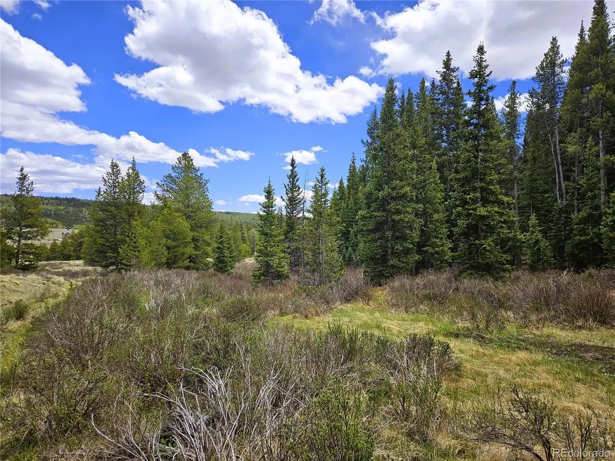 Looney Ln, Fairplay, CO 80440 - #1