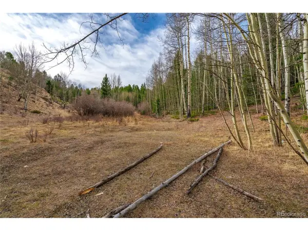 130 Grey Eagle Way, Cripple Creek, CO 80813