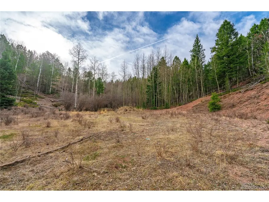 130 Grey Eagle Way, Cripple Creek, CO 80813 - #2