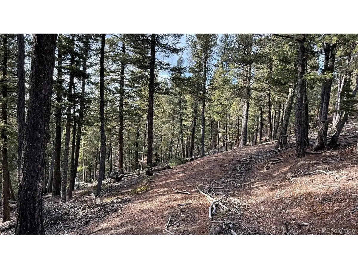 461 Paradiso Rd, Divide, CO 80814 - #1