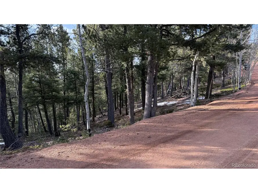461 Paradiso Rd, Divide, CO 80814 - #2