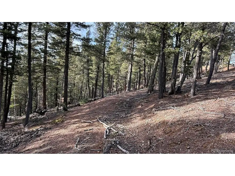 461 Paradiso Rd, Divide, CO 80814 - #3