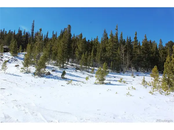 309 Aspen, Idaho Springs, CO 80453