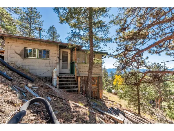 34317 Mineral Ln, Pine, CO 80470