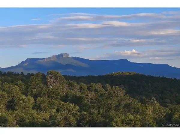 14585 Indian Spring Dr, Trinidad, CO 81082