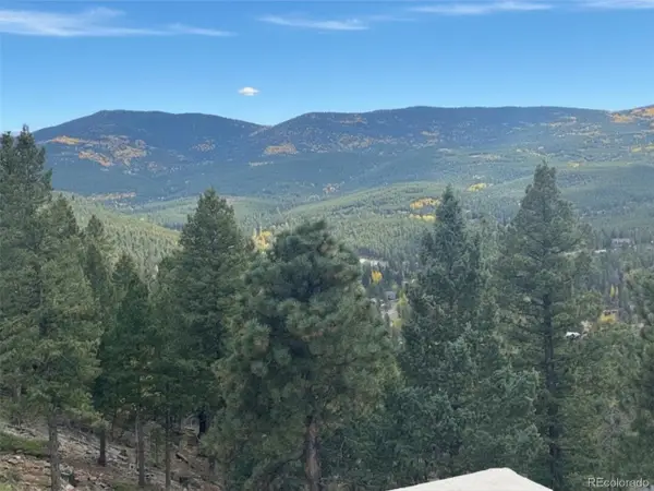 32643 Lodgepole Cir, Evergreen, CO 80439