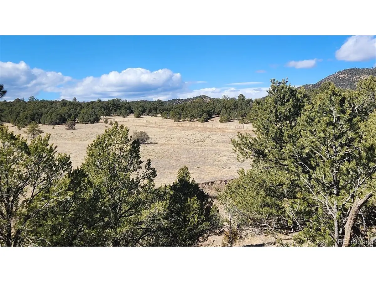 311 Kit Carson Trl, Cotopaxi, CO 81223 - #1
