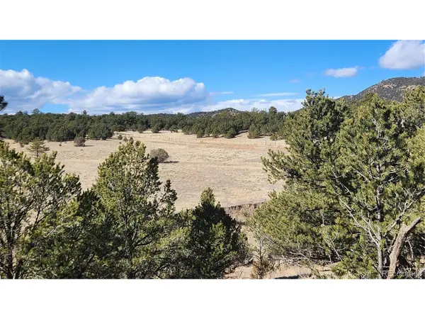 311 Kit Carson Trl, Cotopaxi, CO 81223