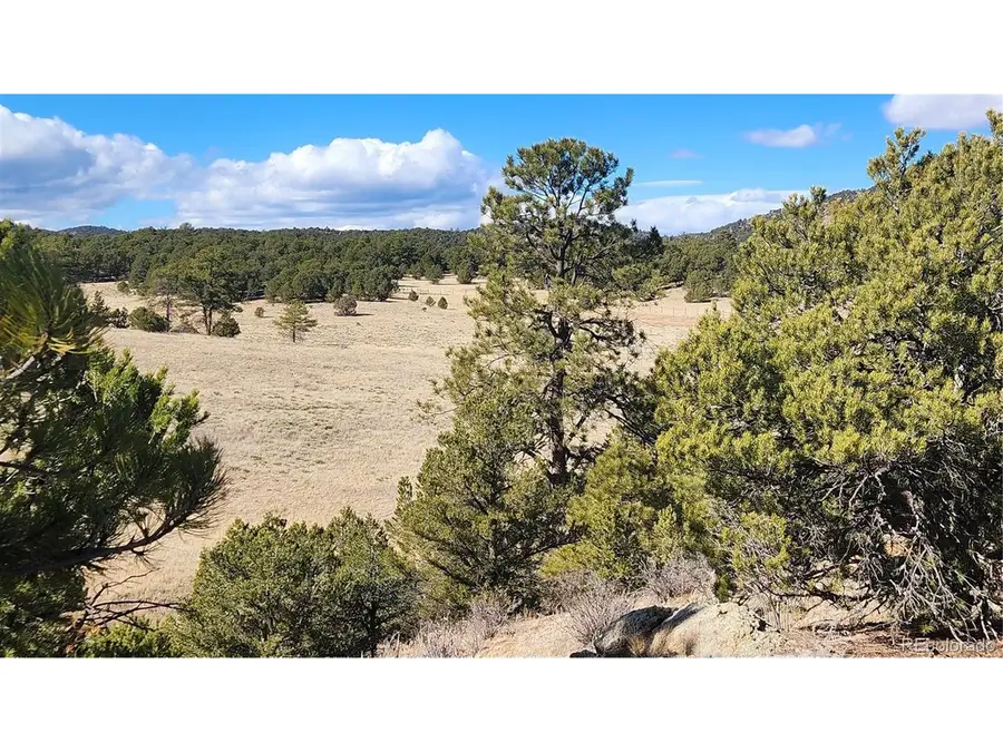 311 Kit Carson Trl, Cotopaxi, CO 81223 - #2