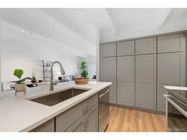 551 N Pearl St #303, Denver, CO 80203