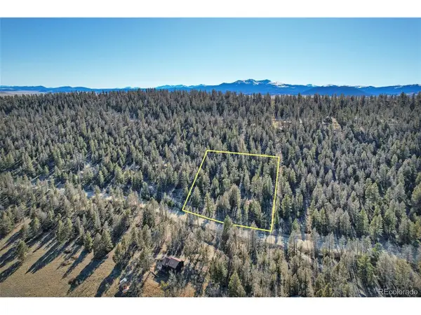 1467 Redhill Rd, Fairplay, CO 80440