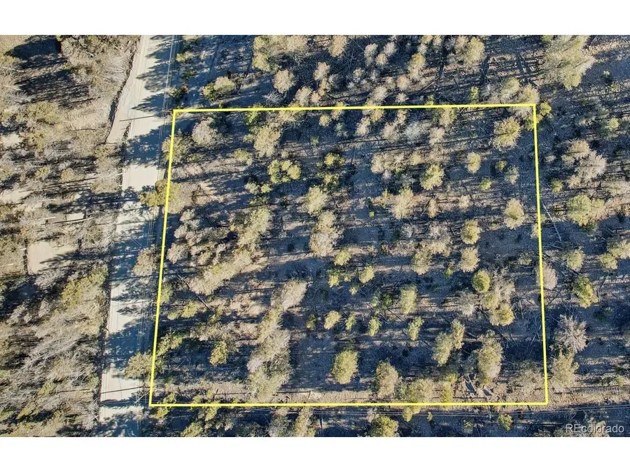 1467 Redhill Rd, Fairplay, CO 80440 - #3