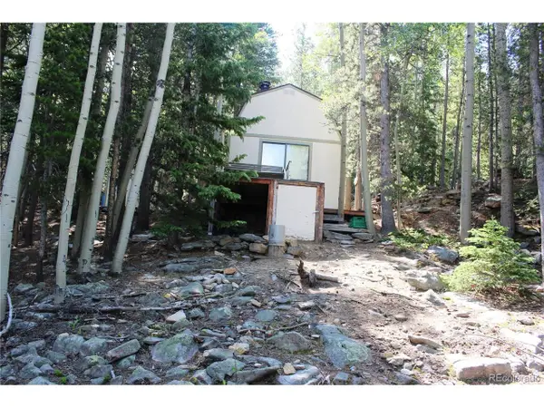 18 Hidden Wildernes Rd, Idaho Springs, CO 80461