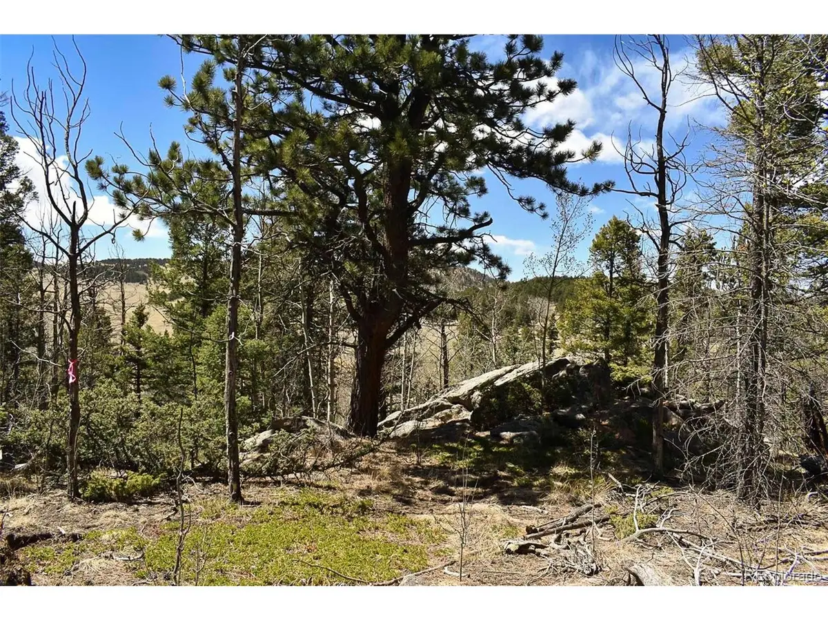 289 Timberline Dr, Guffey, CO 80820 - #1