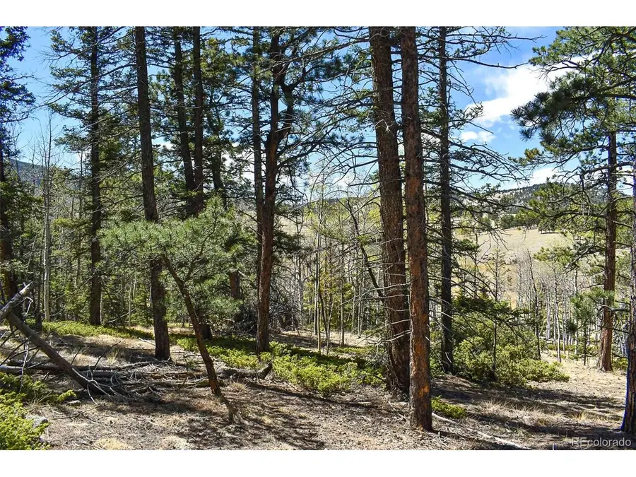 289 Timberline Dr, Guffey, CO 80820 - #2